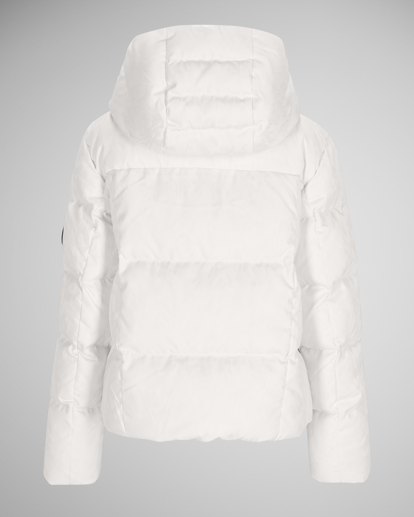 White Zebra | 17 / MQNBCK