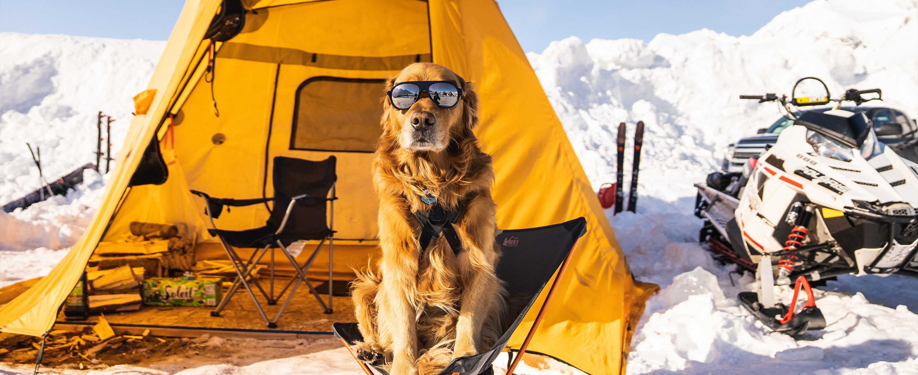 Kicker the Dog Approves