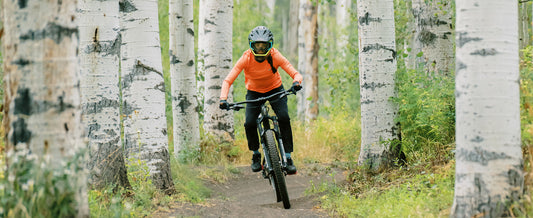 The Best Mountain Bike Trails in the Roaring Fork Valley for Fall Colors and Fast Singletrack Descents