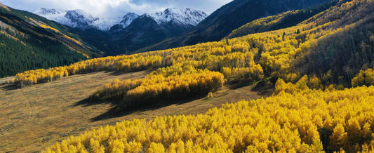 Three Local Secrets to Experiencing Aspen in October