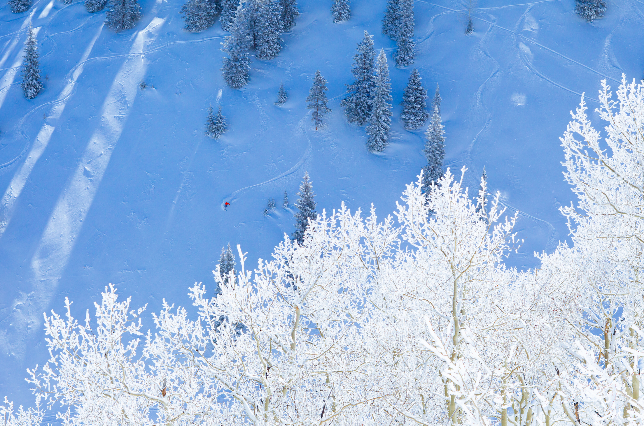 Mountain Guide: Aspen Mountain