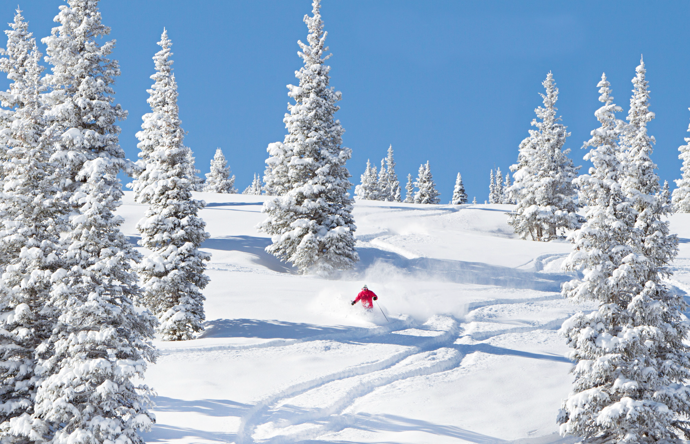 Mountain Guide: Snowmass Mountain