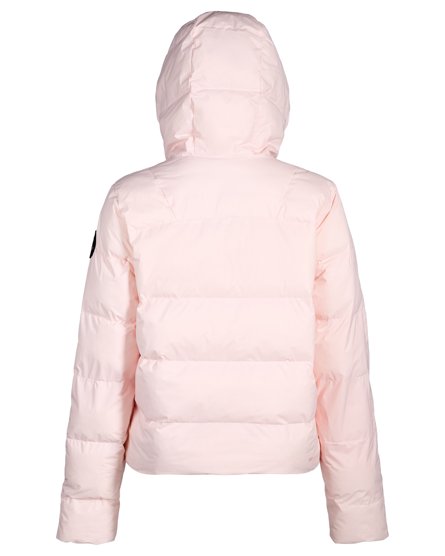 
In A Blush | 17 / MQNBCK