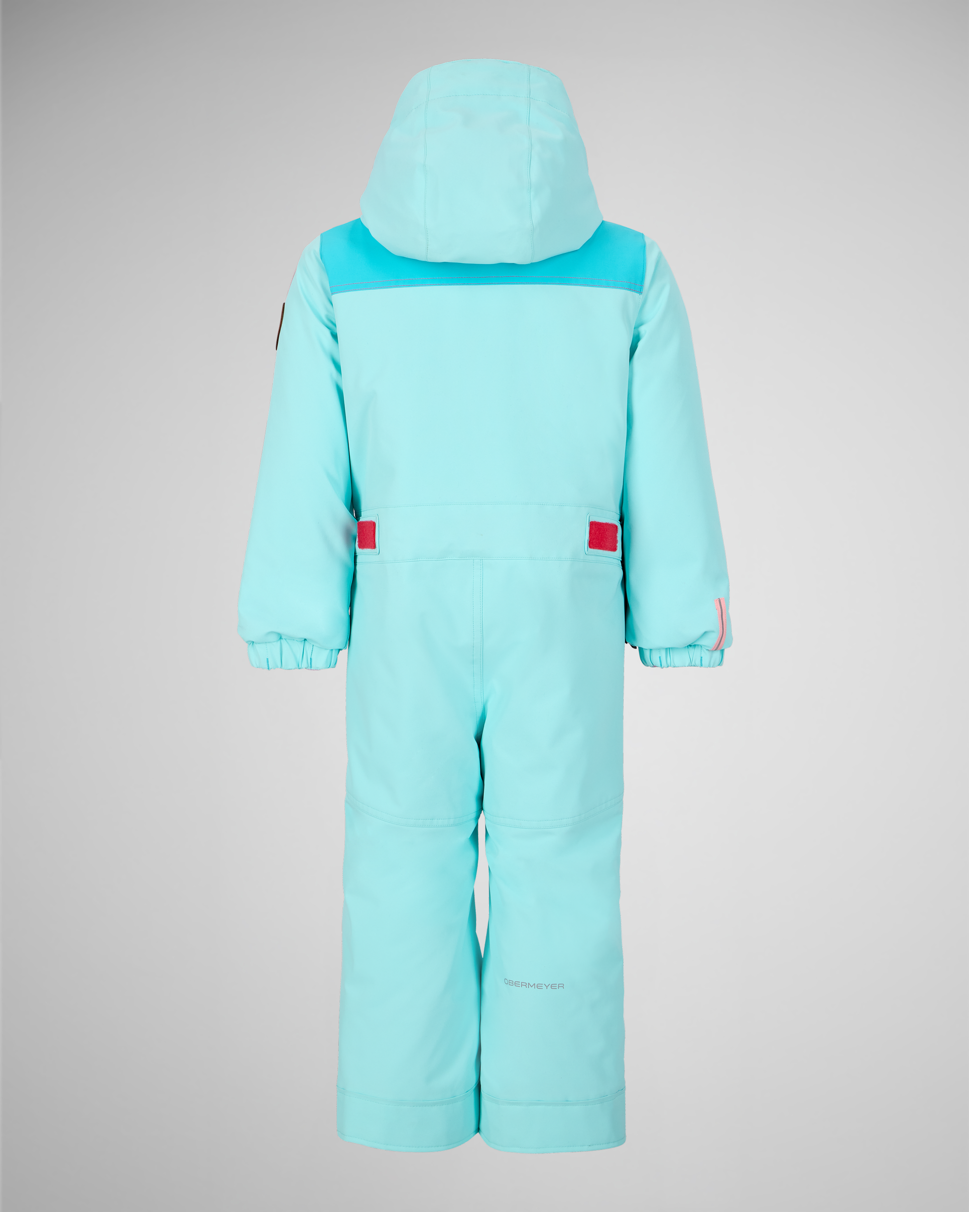 Beary Blue | 17 / MQNBCK