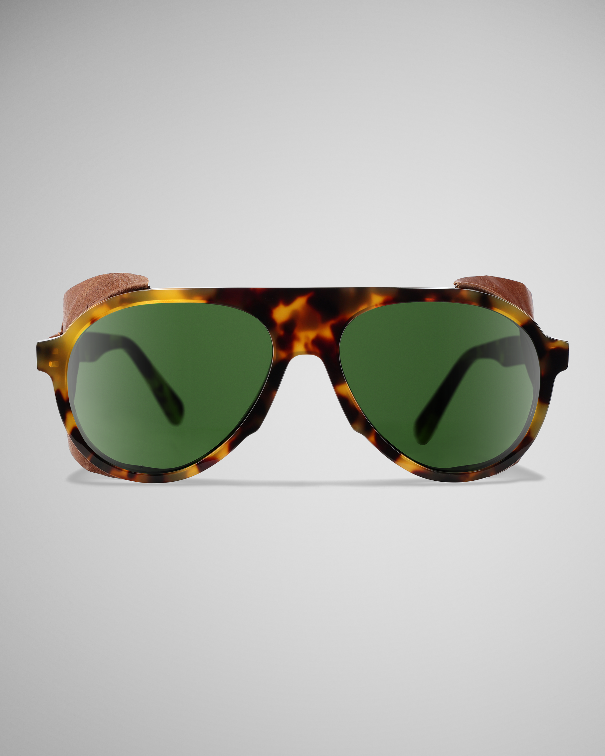 Dark Tortoise Polarized