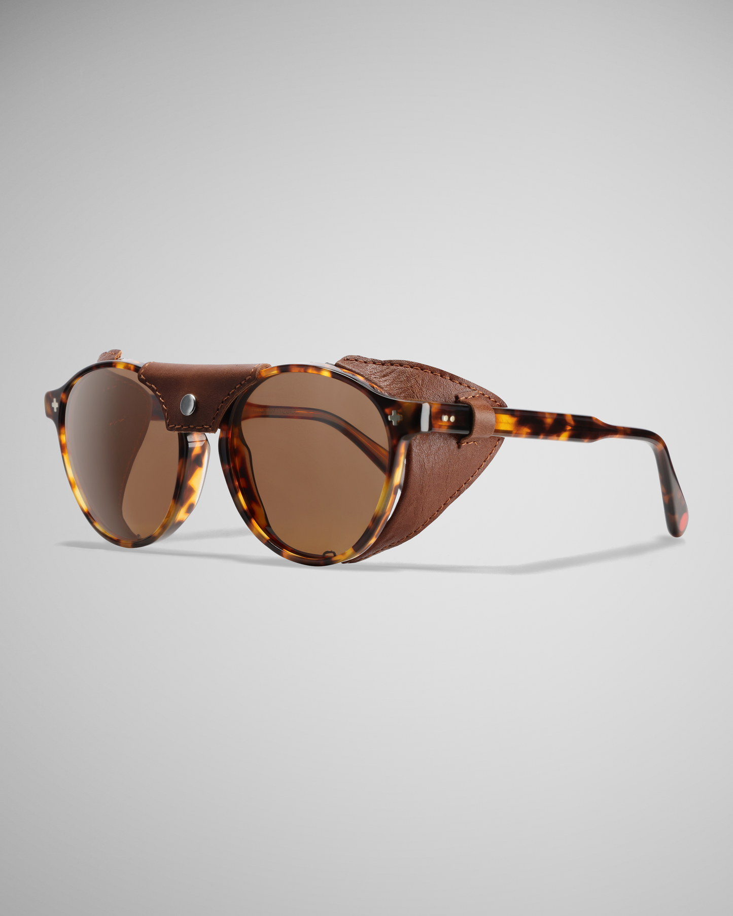 Dark Tortoise Polarized 