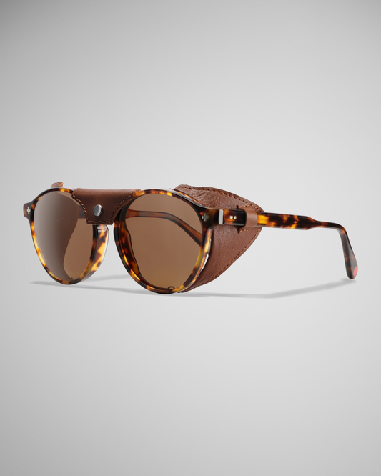 Dark Tortoise Polarized