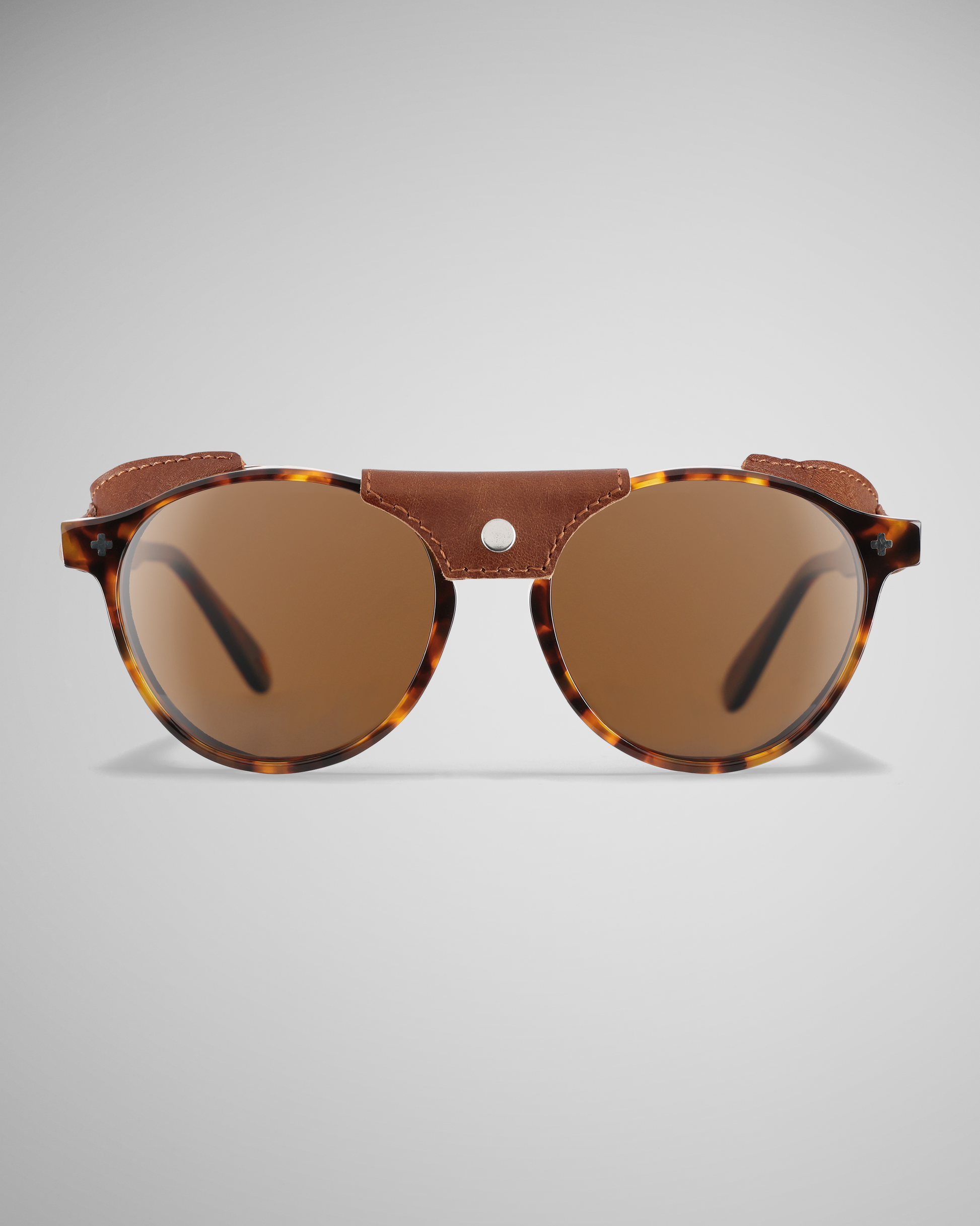 Dark Tortoise Polarized