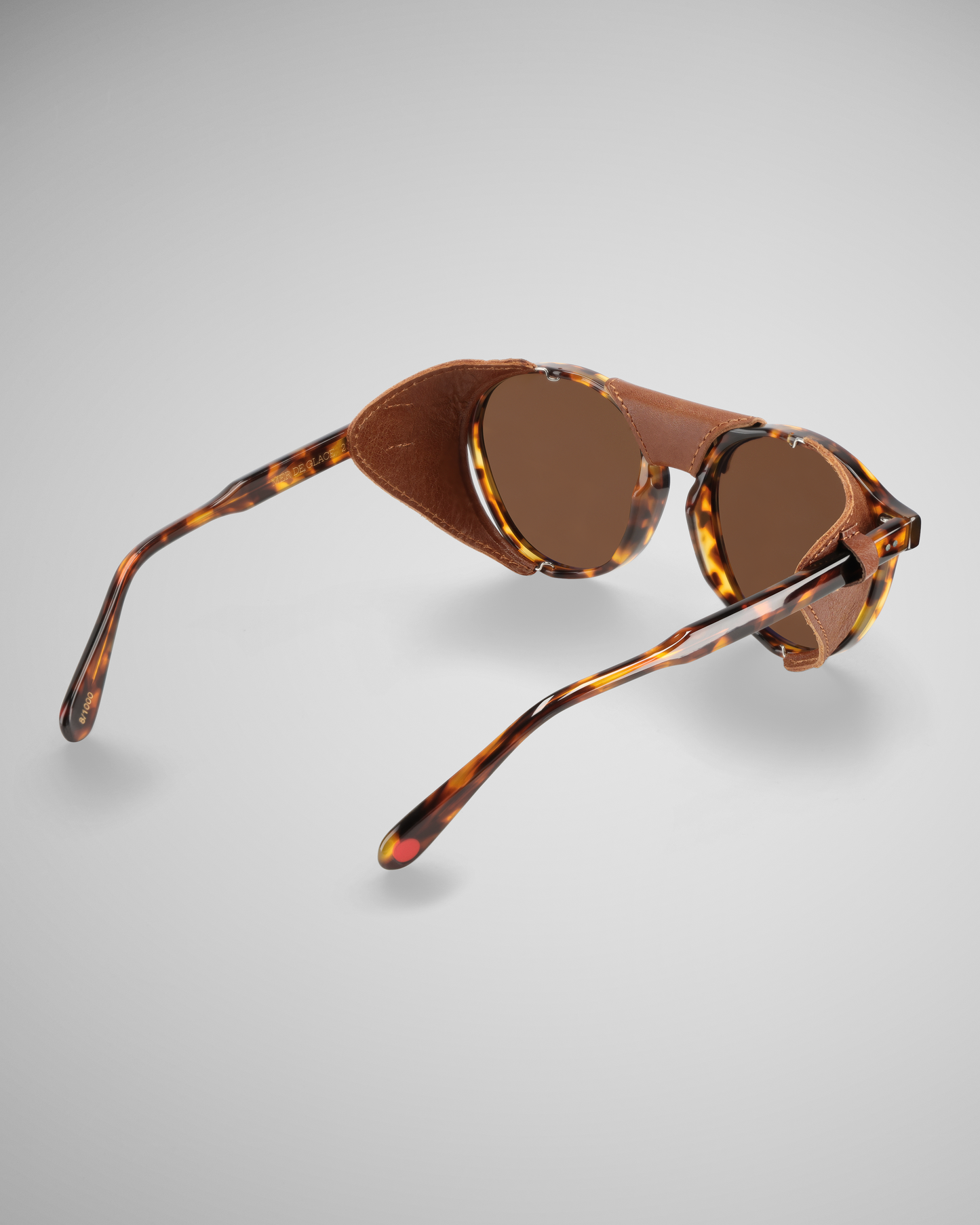 Dark Tortoise Polarized