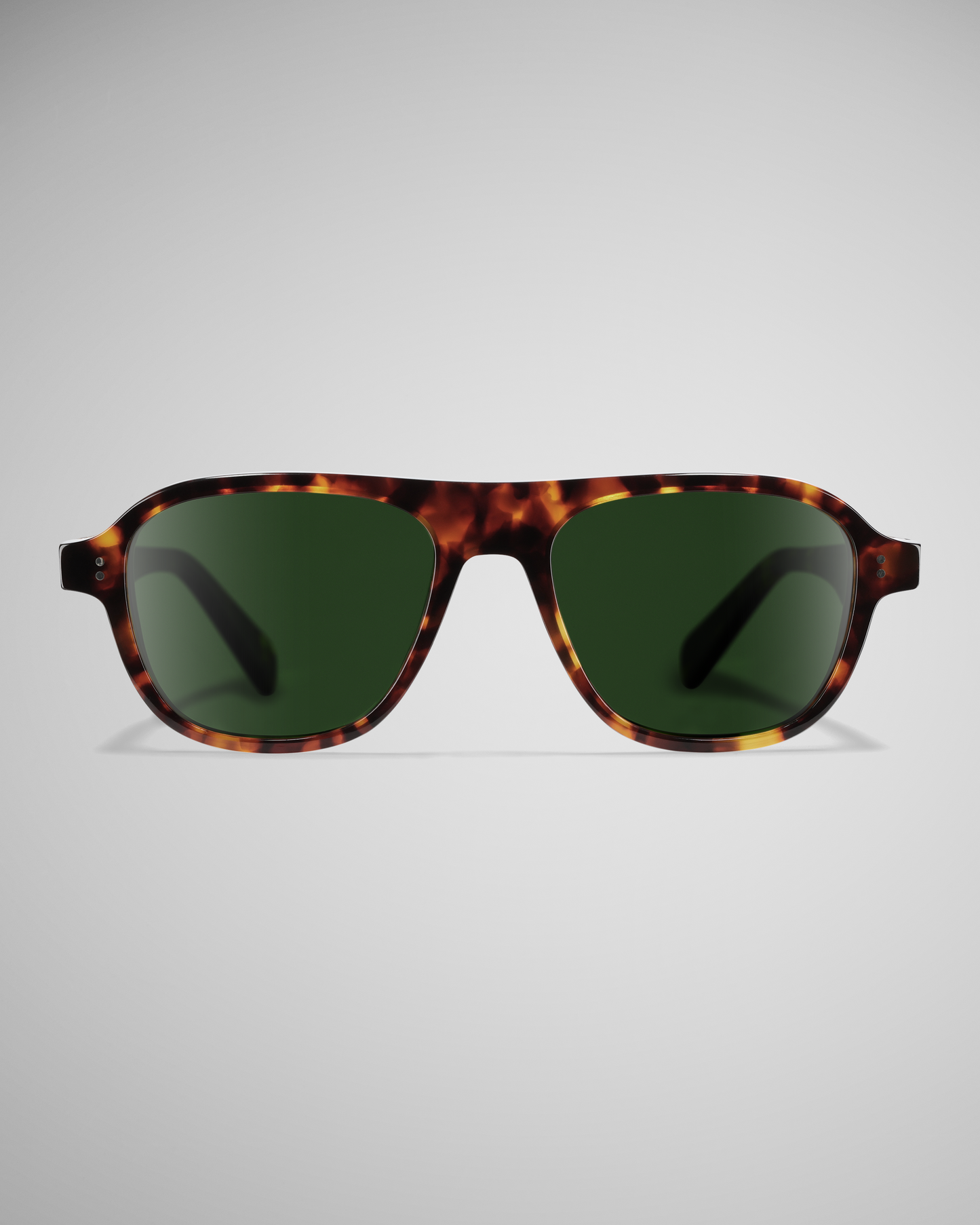 Dark Tortoise Polarized 