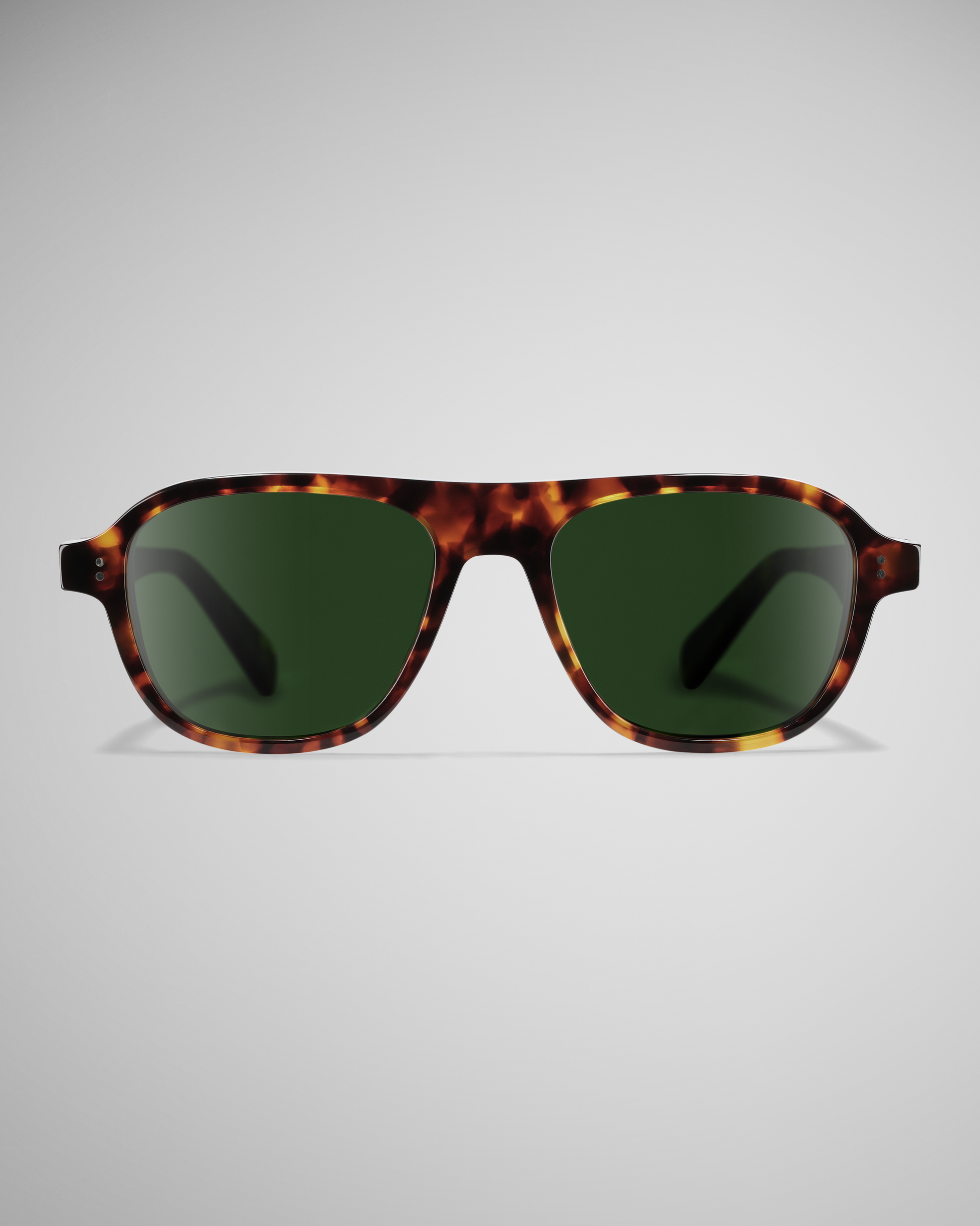 Dark Tortoise Polarized 