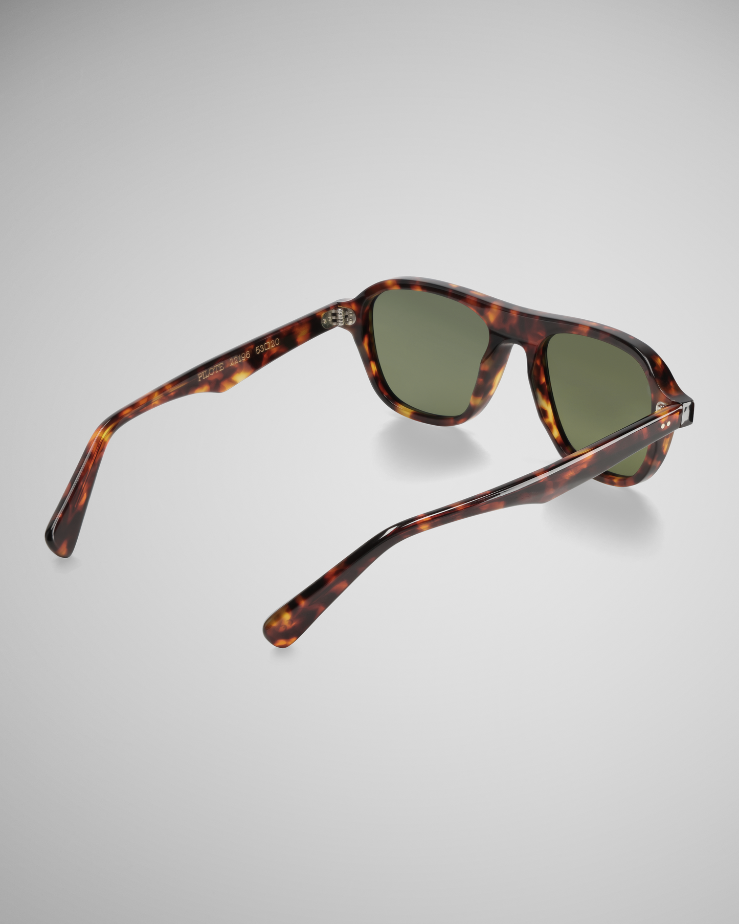 Dark Tortoise Polarized 